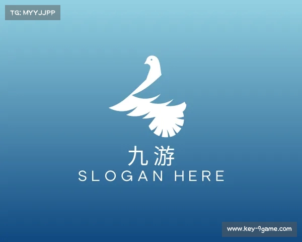 介绍九游